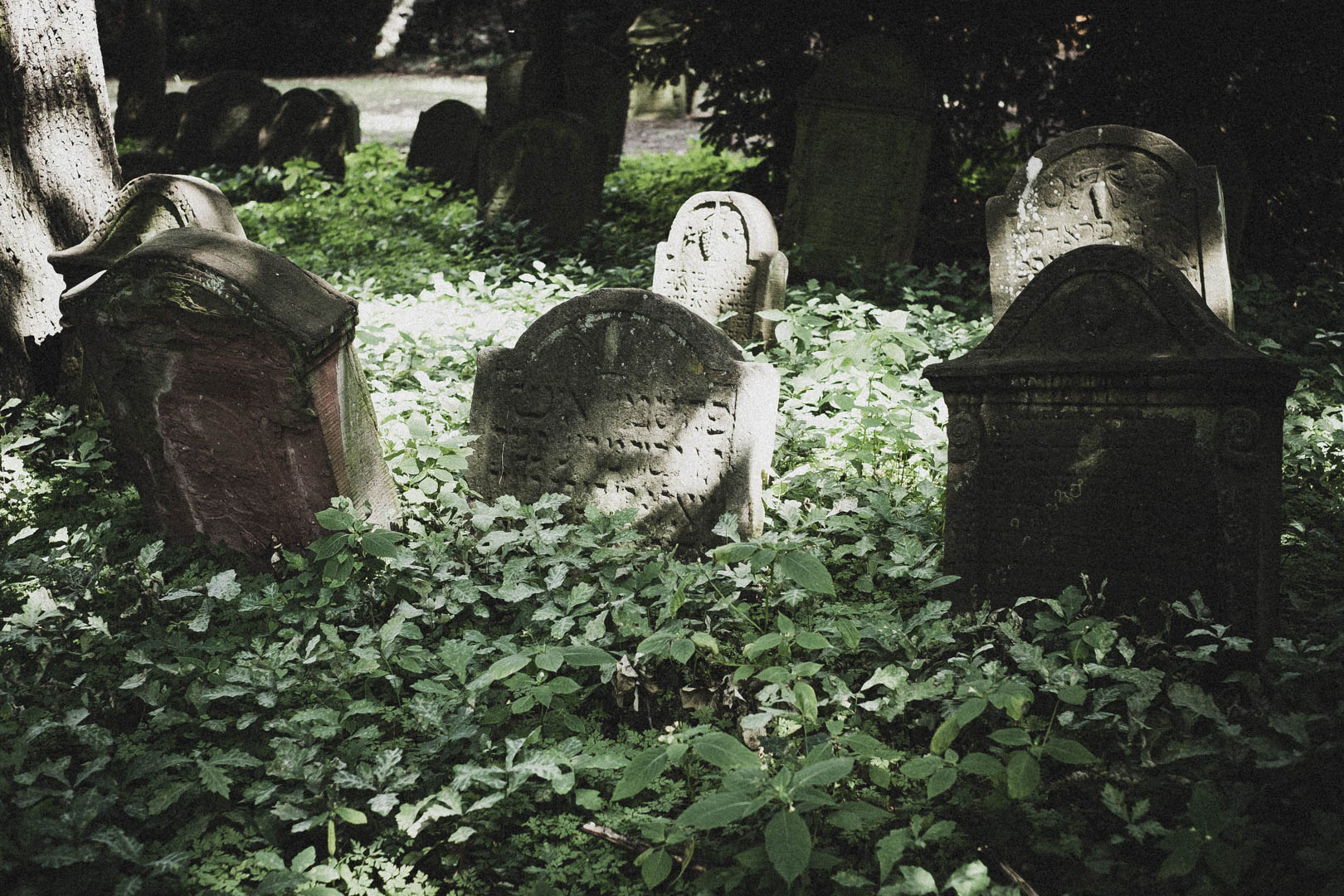 Hanau, Jüdischer Friedhof